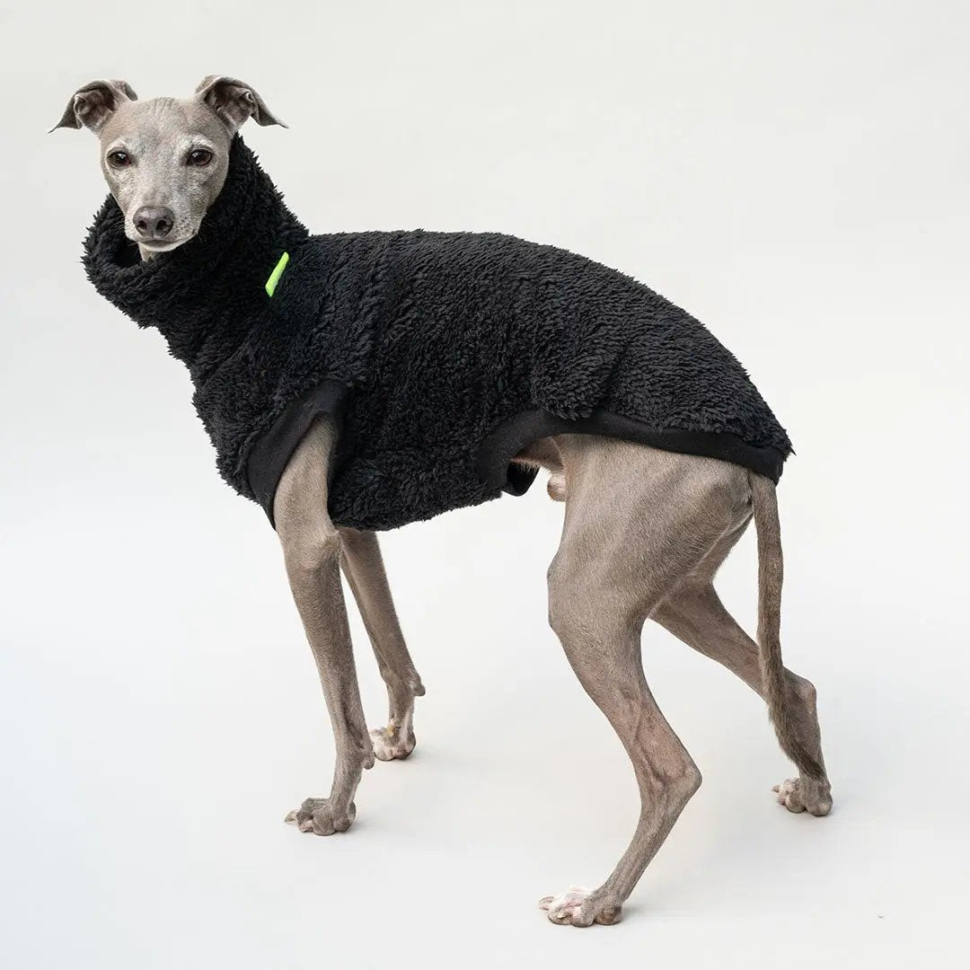 Hunde-Pulli "Koala" Black 4legs.de