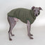 Hunde-Pulli 