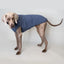 Hunde-Pulli 