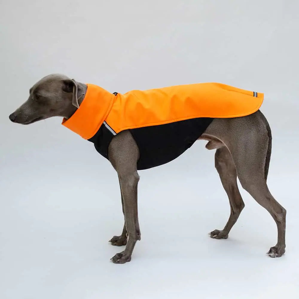 Dieser orangene Hunde-Pulli aus Softshell "HACHICO Vol. 2" ist die perfektionierte Neuauflage für aktive freiheitsliebende Hunde