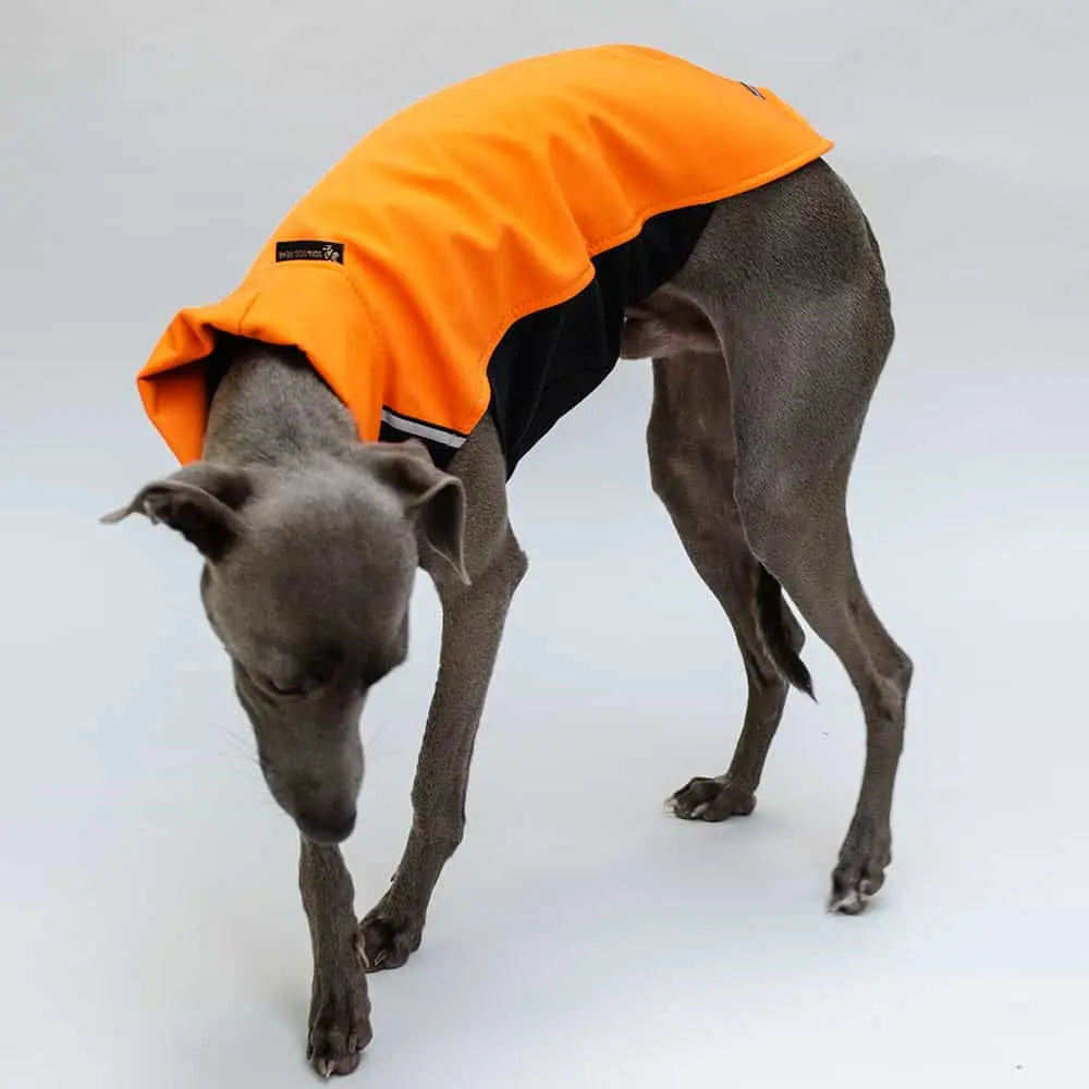 Hunde-Pulli aus Softshell - „Hachico Vol. 2“ - orange 4legs.de