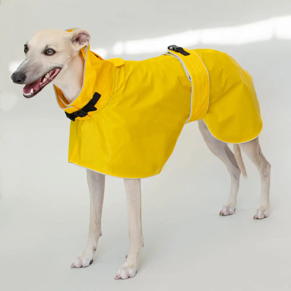 Hunde-Regenmantel - "Zoe" - gelb - SDW 4legs.de