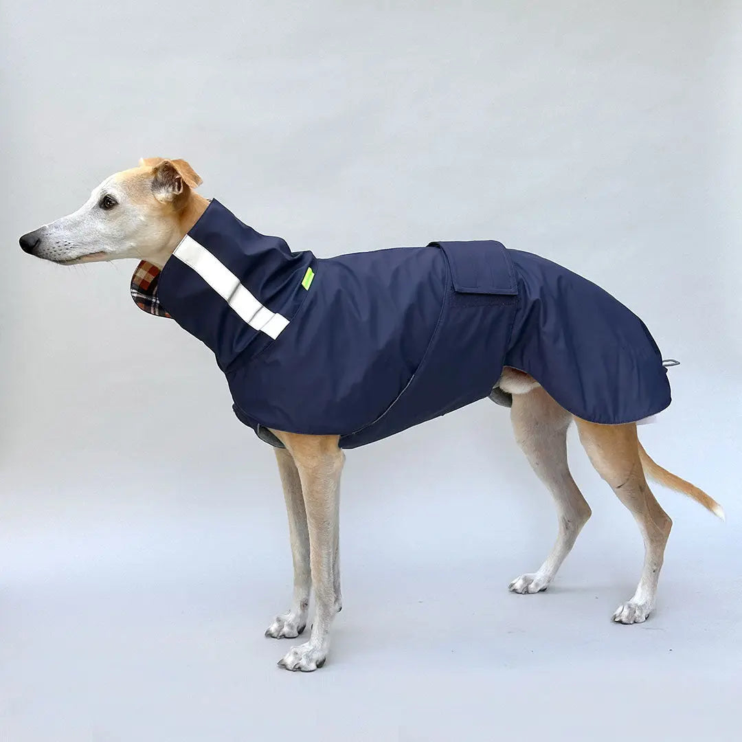 Hunde-Regenmantel "Safe From Rain" Navy 4legs.de