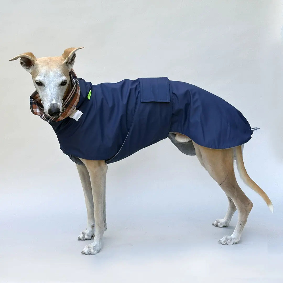 Hunde-Regenmantel "Safe From Rain" Navy 4legs.de