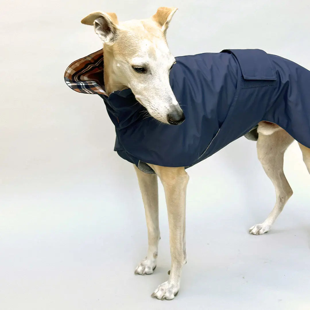 Hunde-Regenmantel "Safe From Rain" Navy 4legs.de