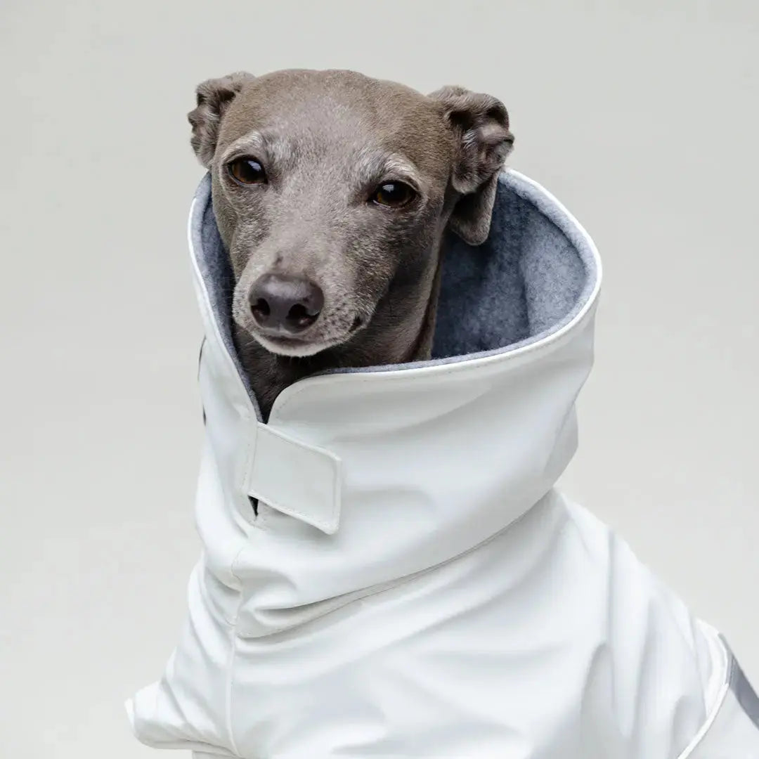 Hunde-Regenmantel