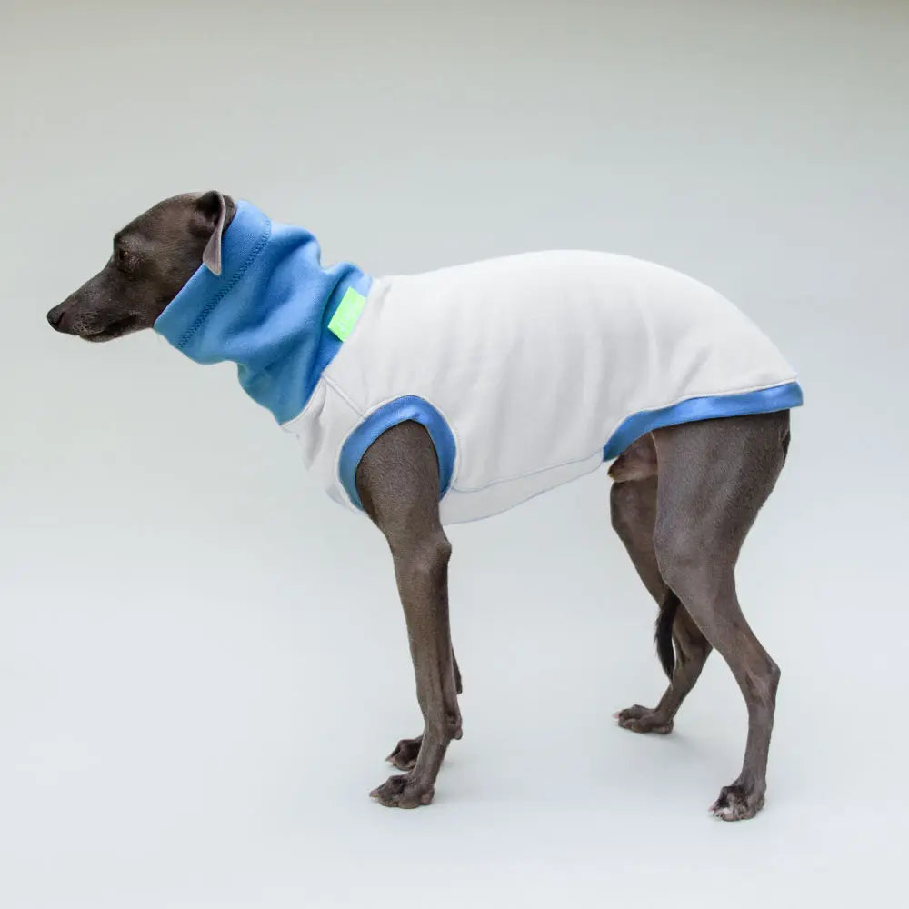 Hunde-Shirt "Private Style" - create your own shirt! 4legs.de
