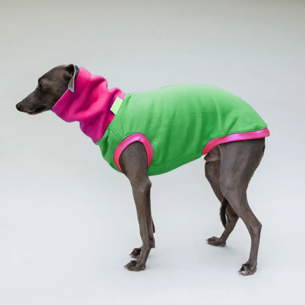 Hunde-Shirt "Private Style" - create your own shirt! 4legs.de