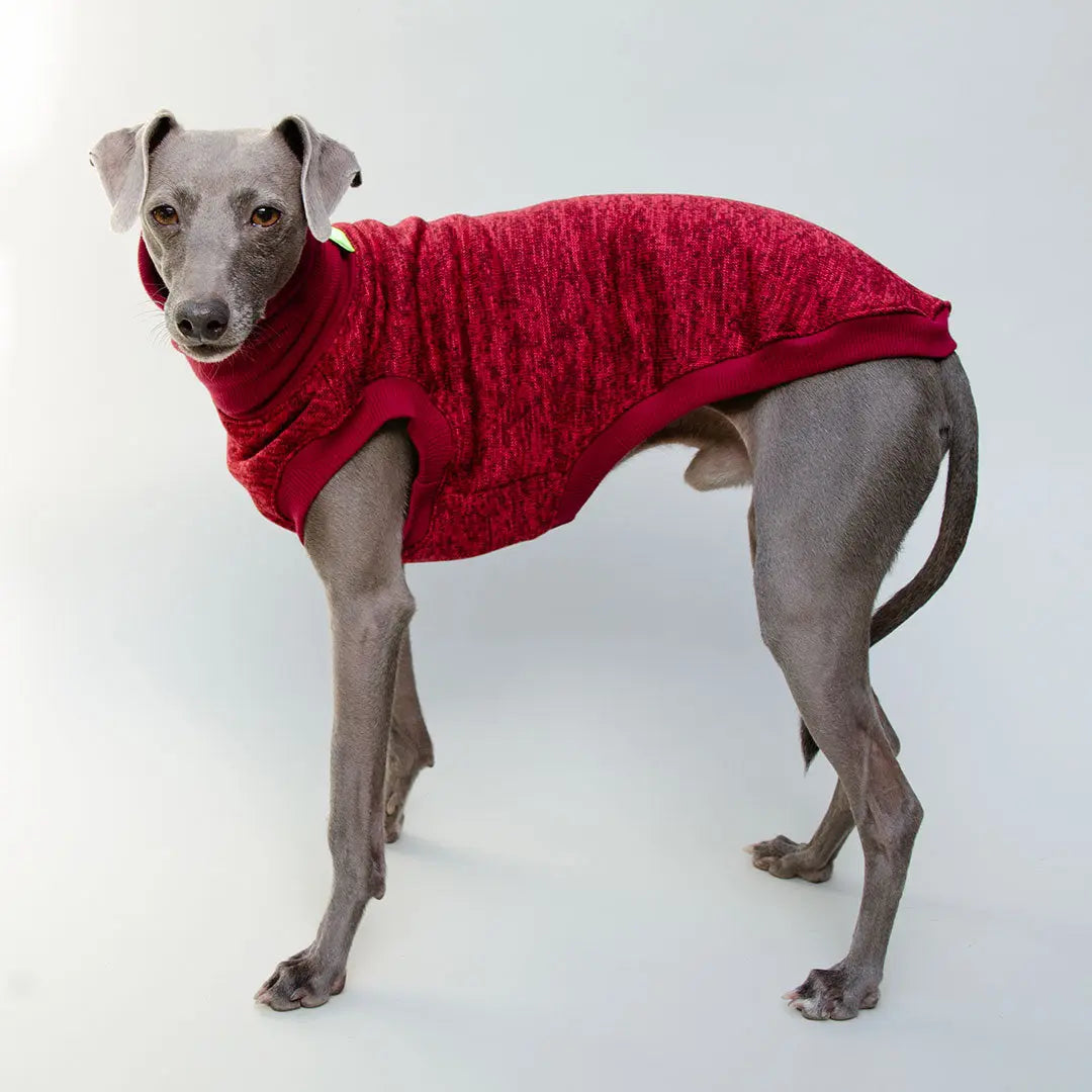 Hunde-Shirt "Super Dry" - bordeaux 4legs.de