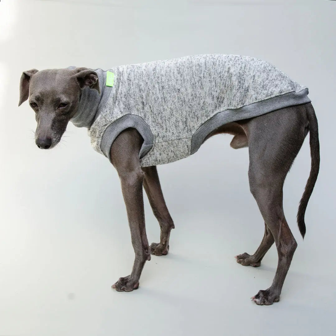 Hunde-Shirt "Super Dry" - hellgrau 4legs.de