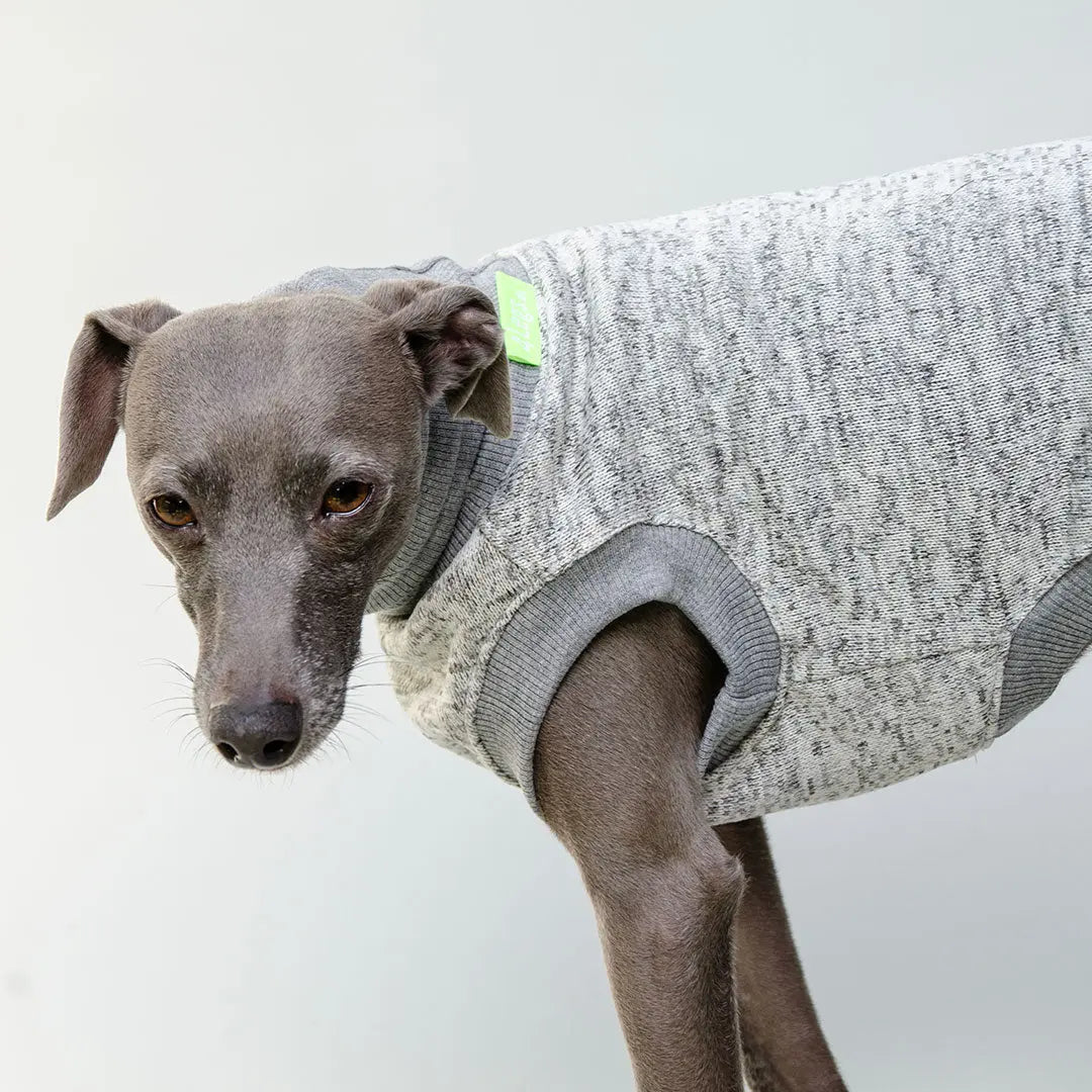 Hunde-Shirt "Super Dry" - hellgrau 4legs.de