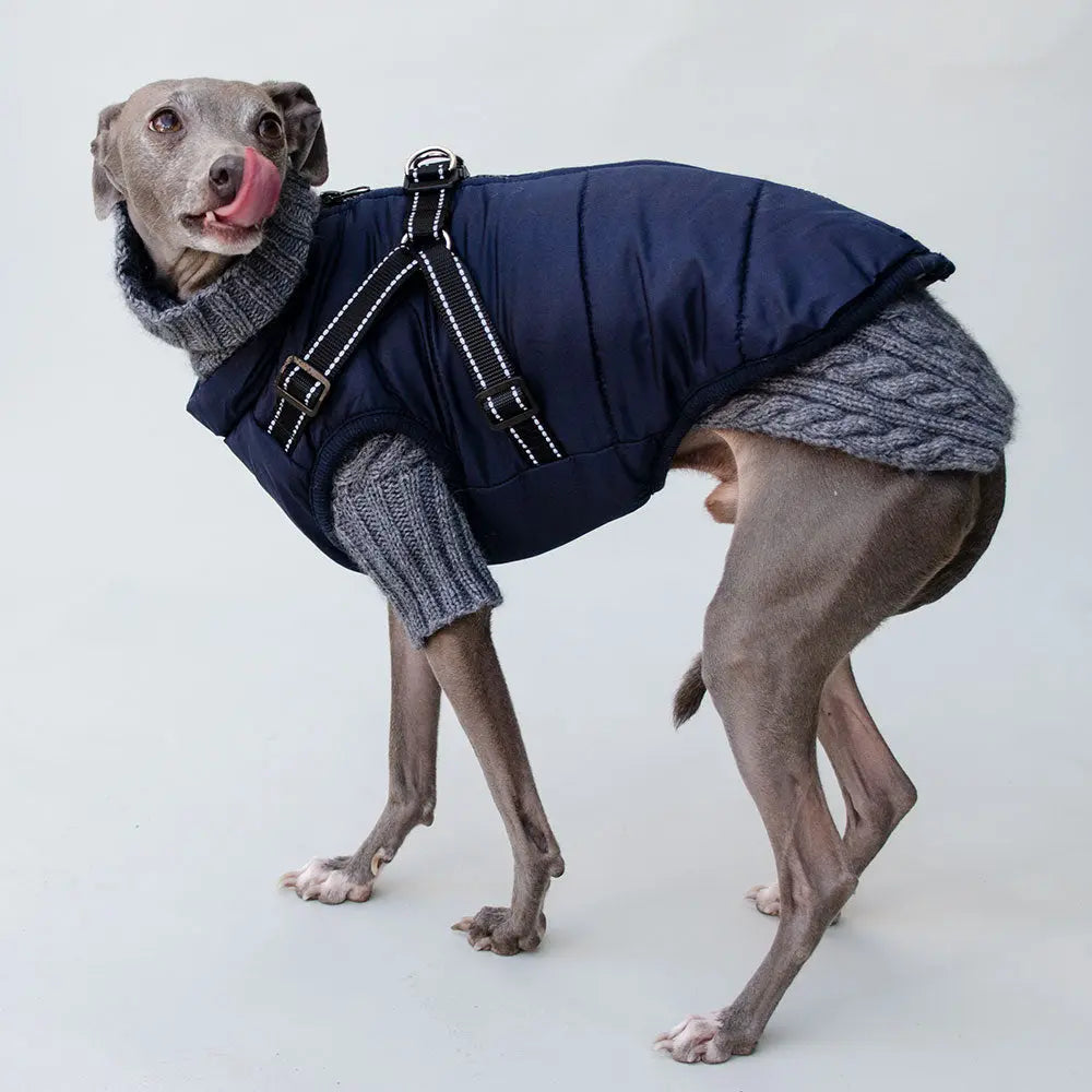 Hunde Sportswear Jacke - dunkelblau 4legs.de