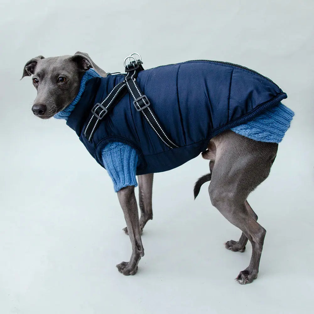 Hunde Sportswear Jacke - dunkelblau 4legs.de