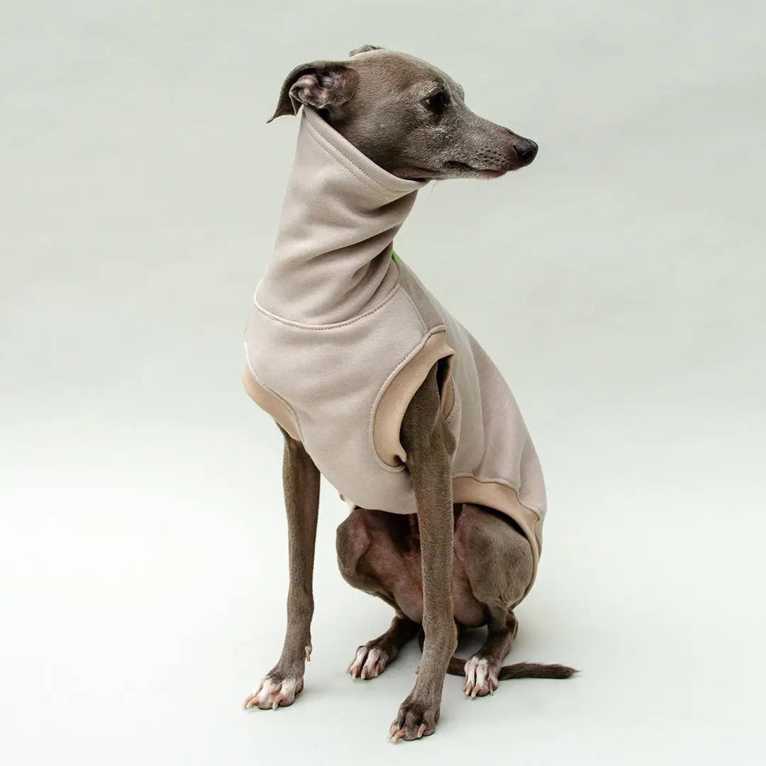 Hunde-Sweater "COZY" - beige 4legs.de