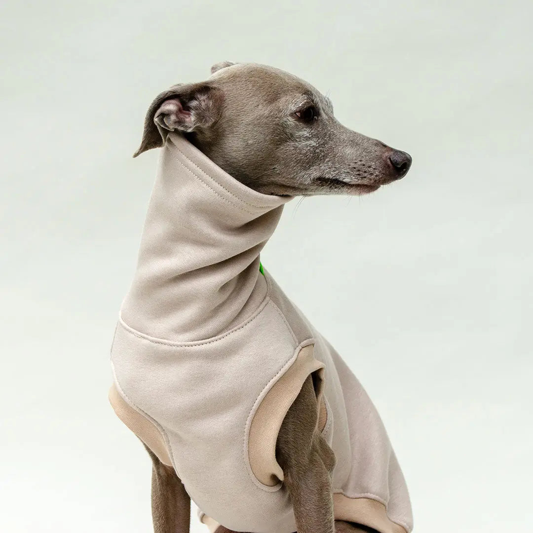 Hunde-Sweater "COZY" - beige 4legs.de