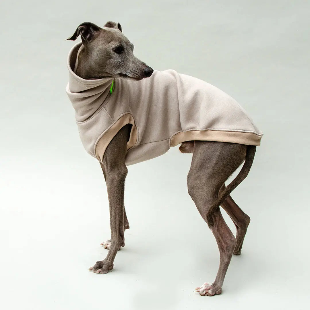 Hunde-Sweater "COZY" - beige 4legs.de