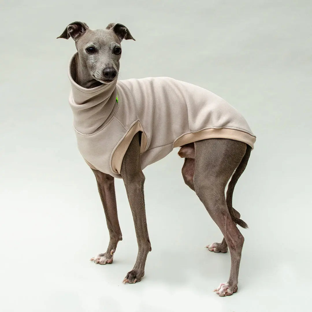 Hunde-Sweater "COZY" - beige 4legs.de