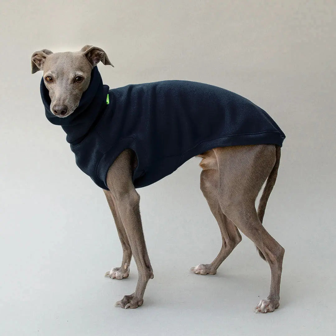 Hunde-Sweater "COZY" - black 4legs.de