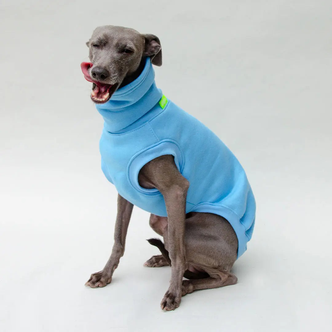 Hunde-Sweater "COZY" - bleu 4legs.de