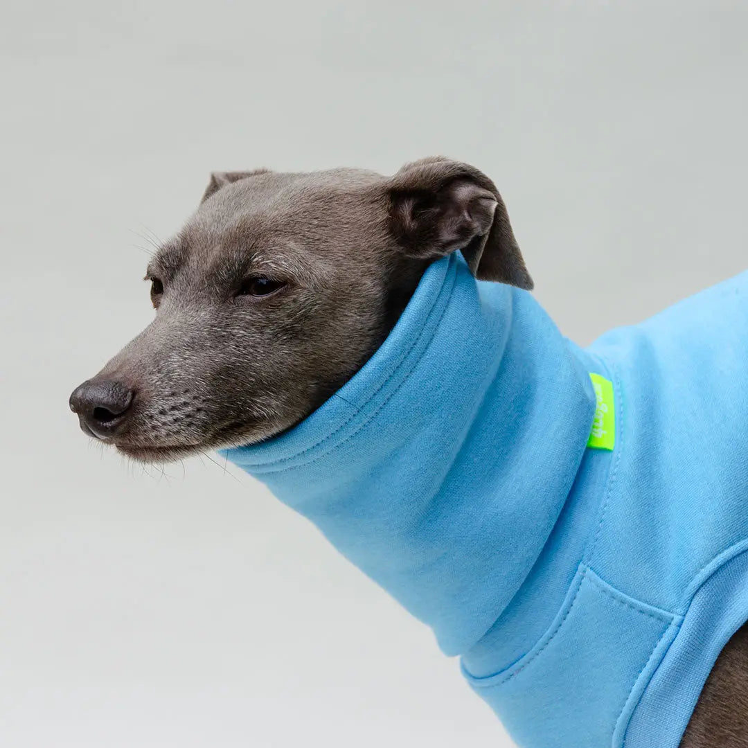 Hunde-Sweater "COZY" - bleu 4legs.de