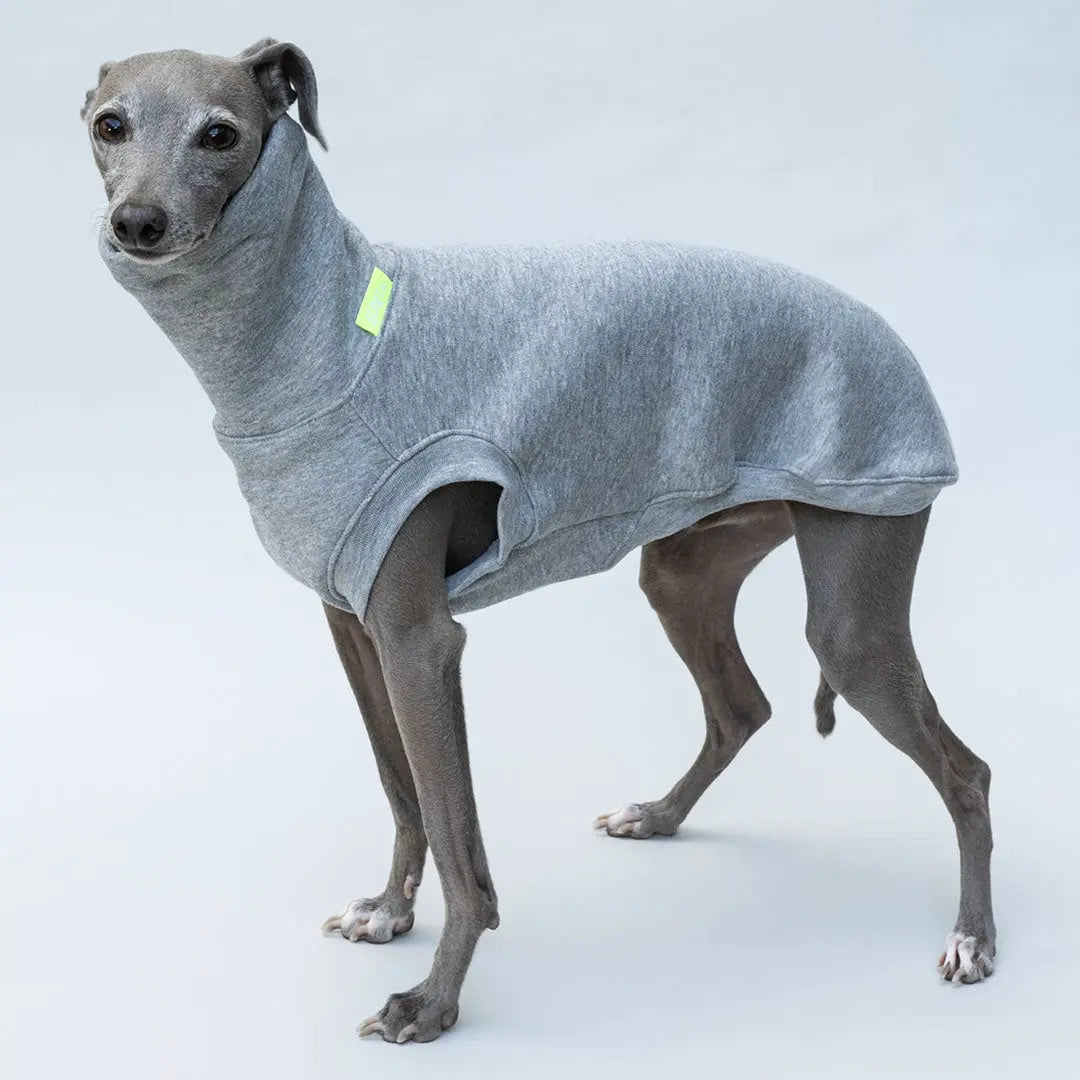 Hunde-Sweater "COZY" - grau Melange 4legs.de
