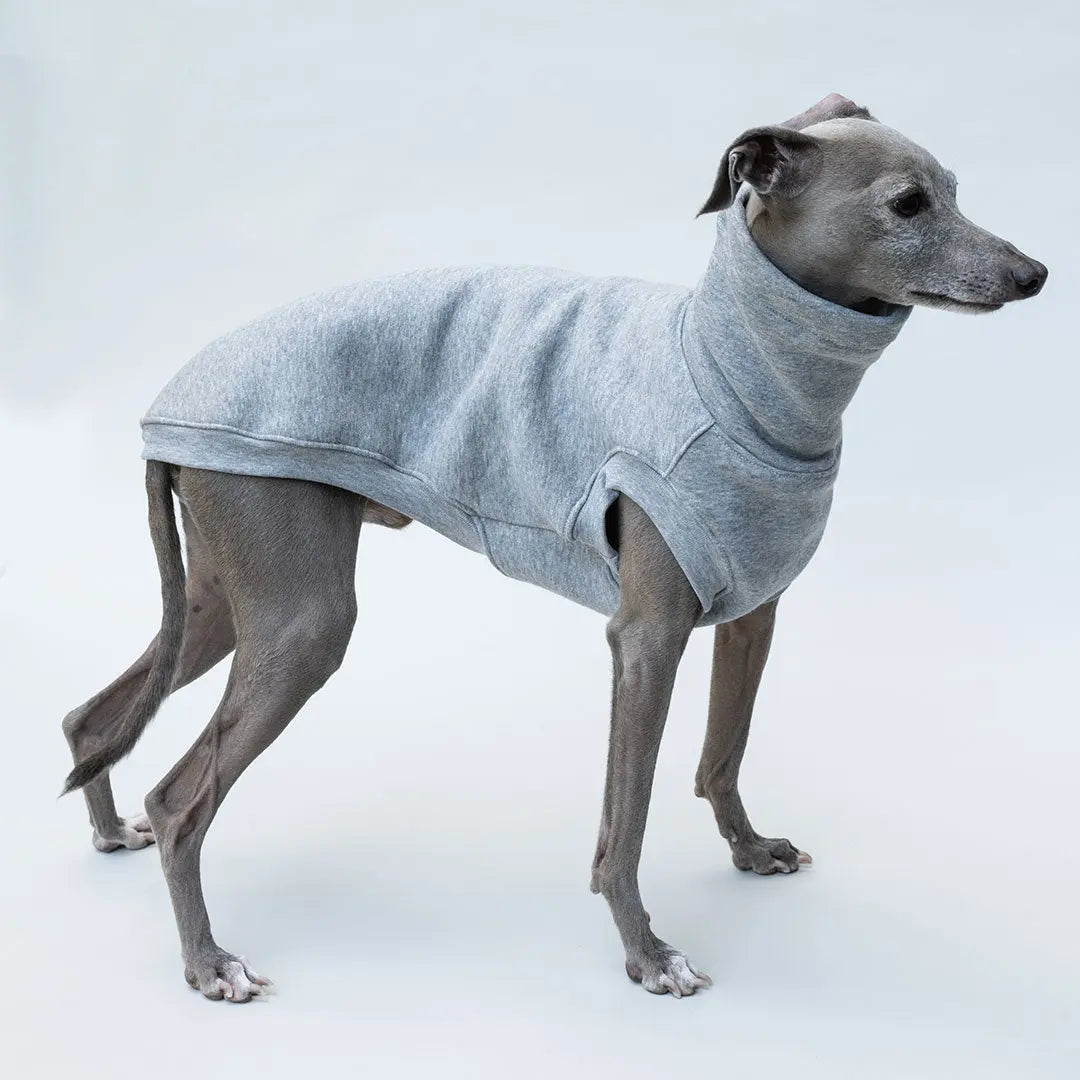 Hunde-Sweater "COZY" - grau Melange 4legs.de
