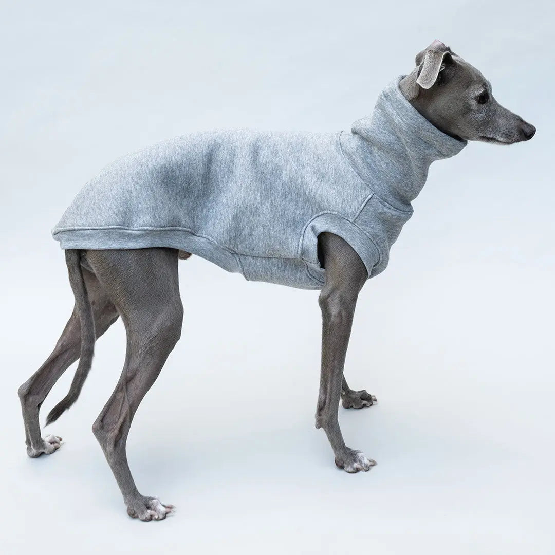 Hunde-Sweater "COZY" - grau Melange 4legs.de
