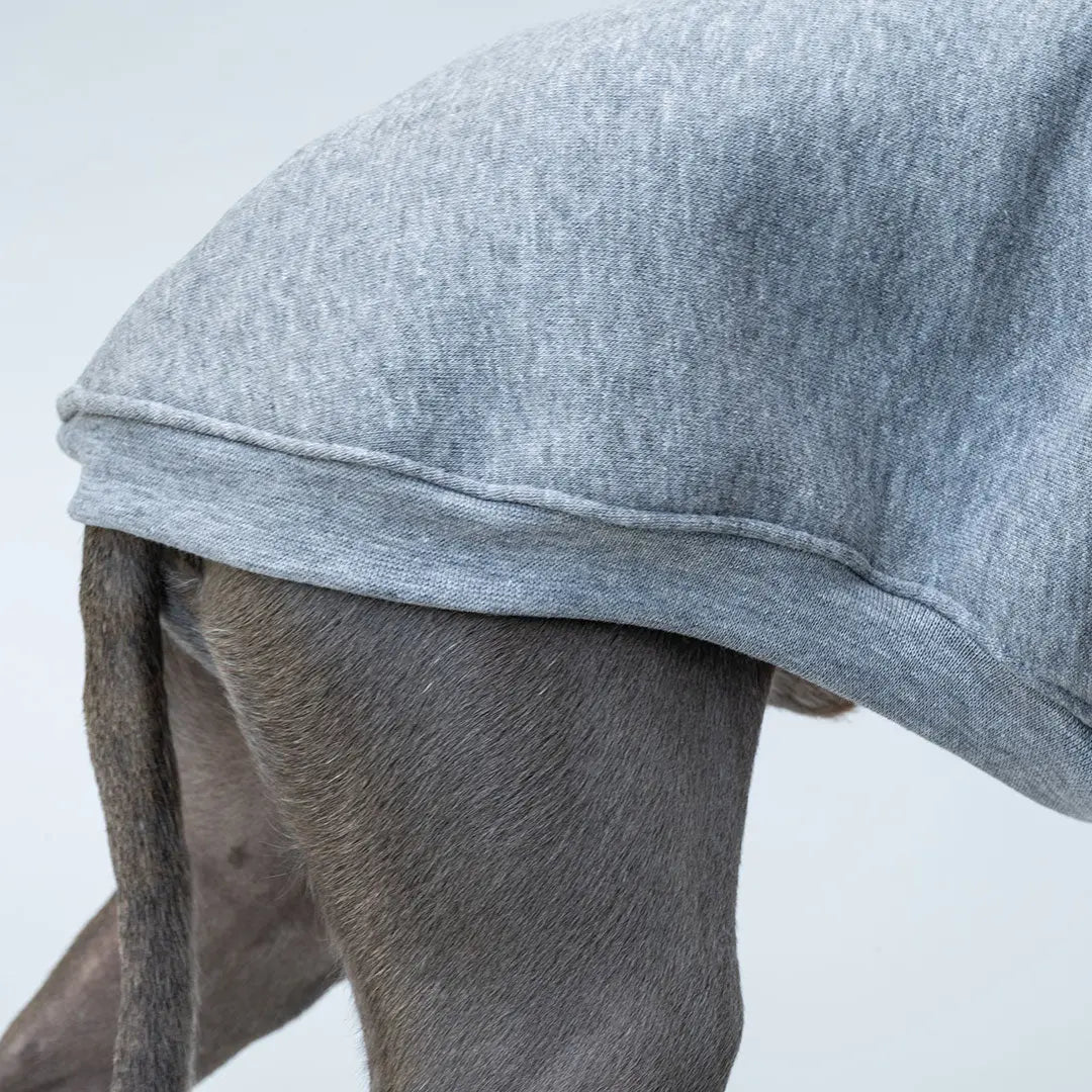 Hunde-Sweater "COZY" - grau Melange 4legs.de