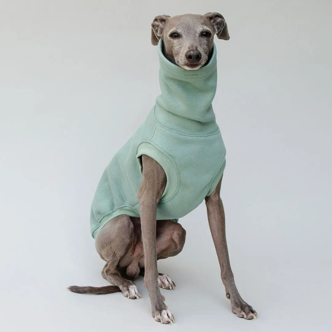 Hunde-Sweater "COZY" - salbei 4legs.de