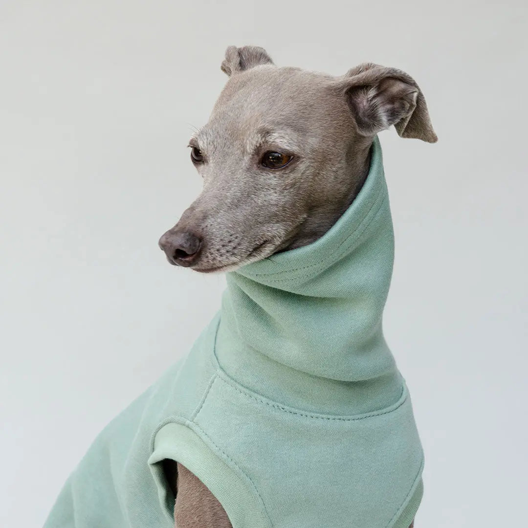 Hunde-Sweater "COZY" - salbei 4legs.de