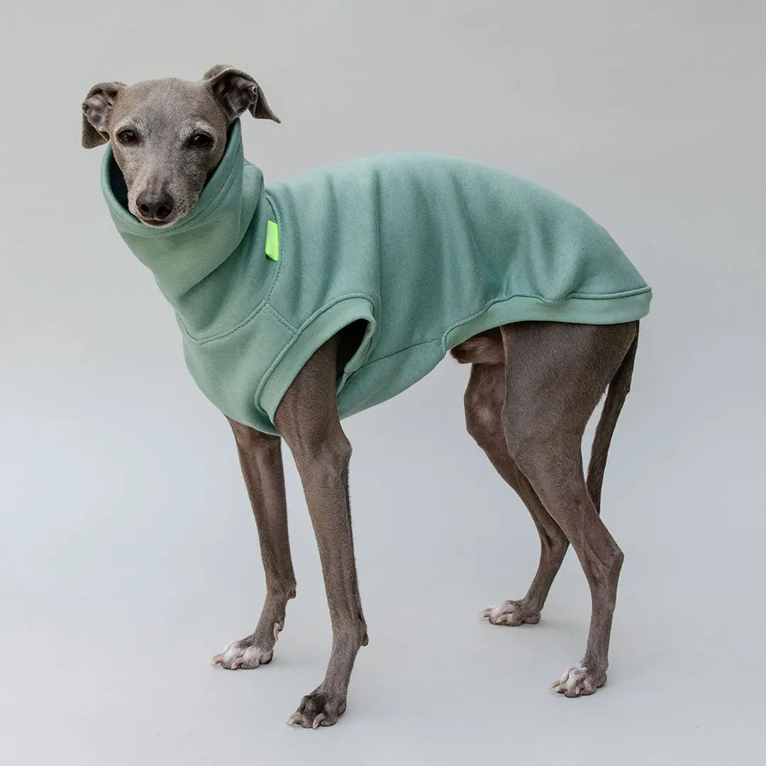 Hunde-Sweater "COZY" - salbei 4legs.de