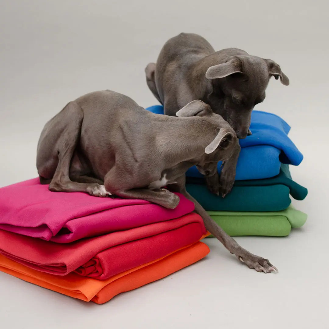 Hunde-Sweater "Personal Baseball" - 4legs.deseo score