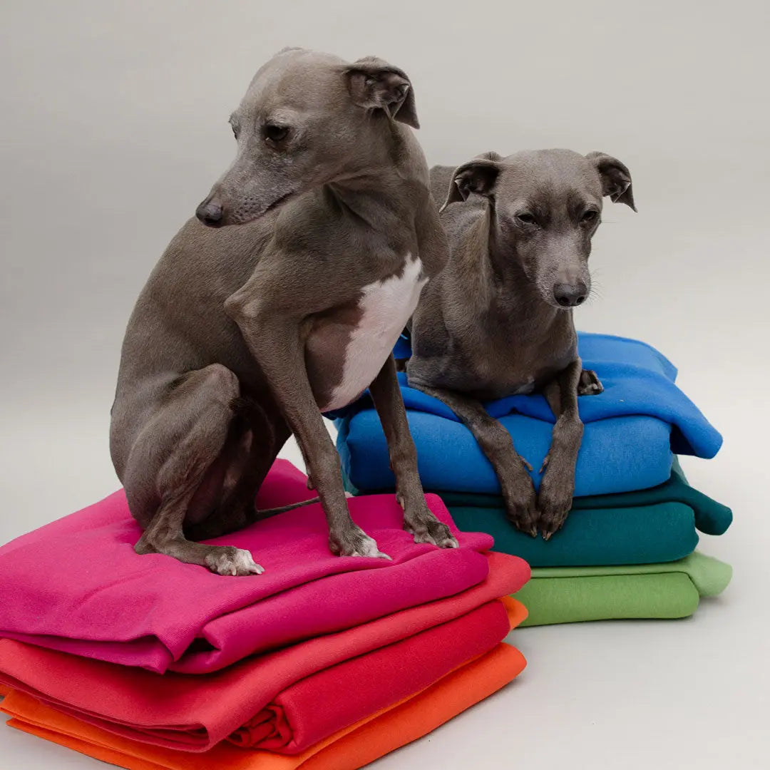 Hunde-Sweater "Personal Baseball" - 4legs.deseo score