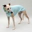 Sweat-shirt de chien 