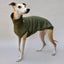 Sweat-shirt de chien 