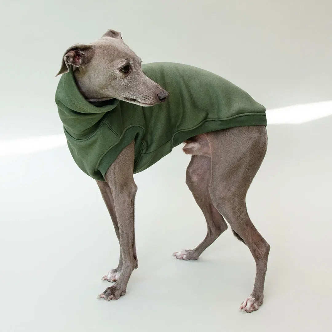 Hunde-Sweatshirt "COZY" - oliv 4legs.de