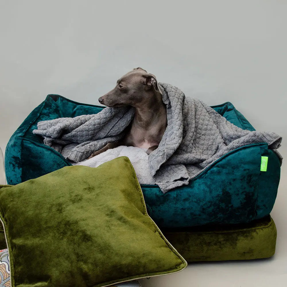 Hundebett im Vintage-Look „Velvet Vintage Canapé“ - petrol 4legs.de