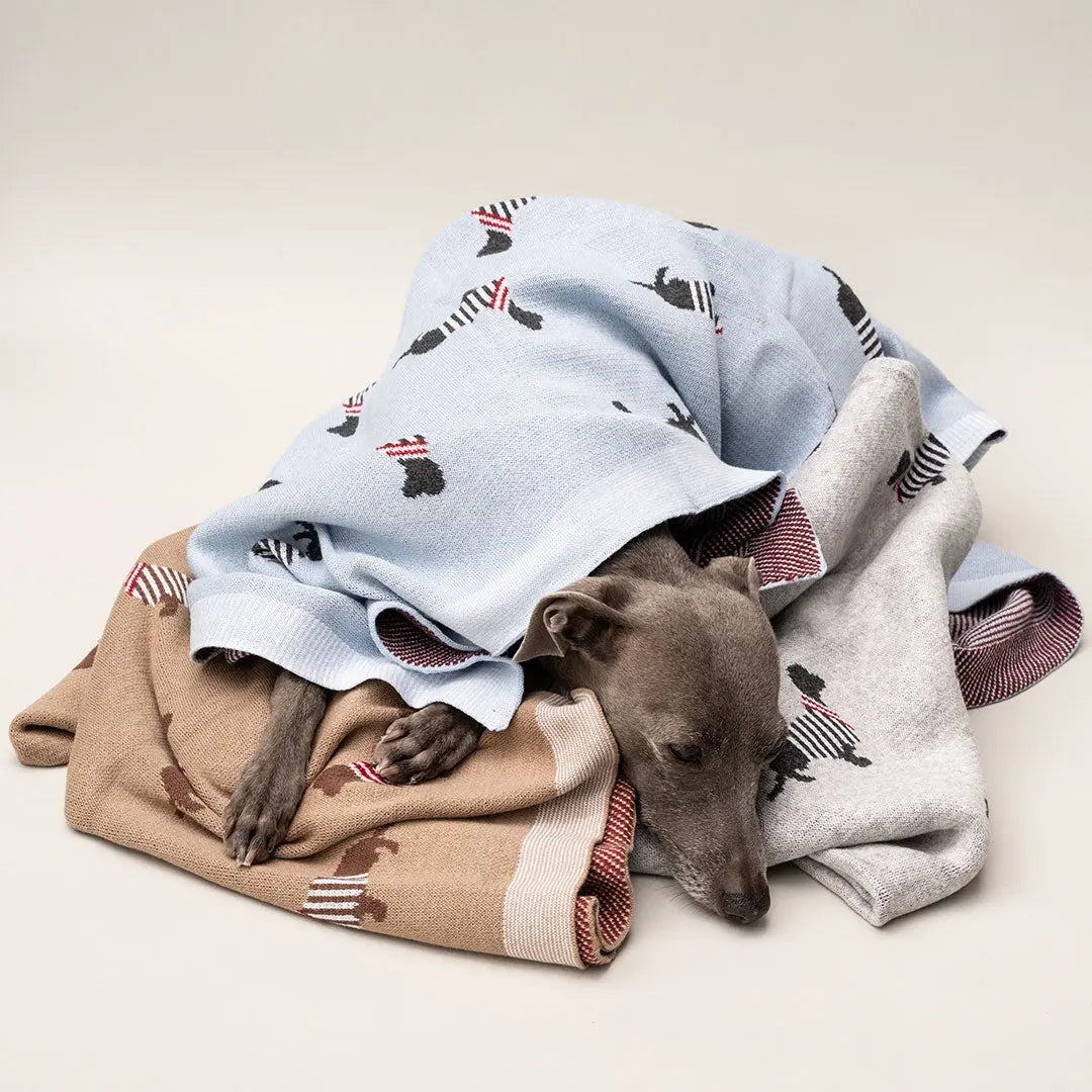 Hundedecke "French Cotton" 4legs.de