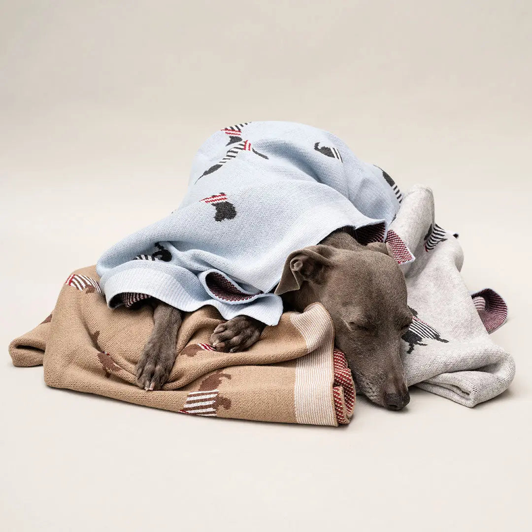 Hundedecke "French Cotton" 4legs.de