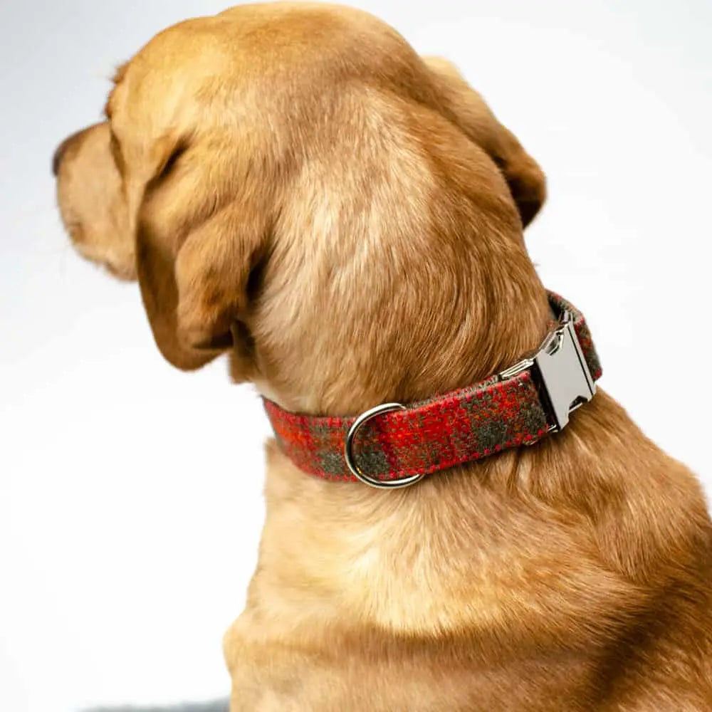 Das Hundehalsband Grace lässt sich in der Länge verstellen und wird in liebevoller Handarbeit mit dem Harris Tweed Stoff hergestellt.