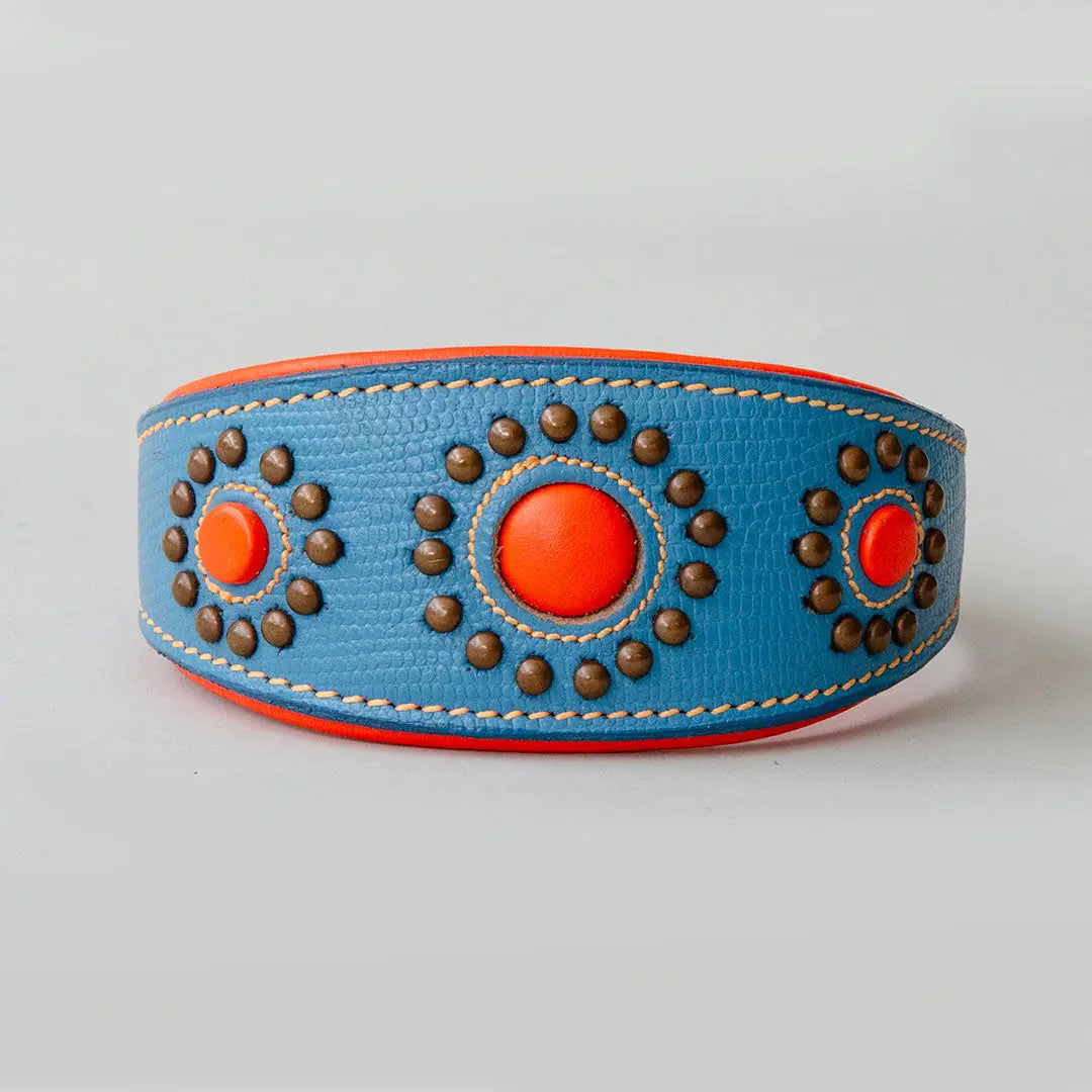 Hundehalsband für Windhunde - "Longnose Yellow Blue Sky" 4legs.de