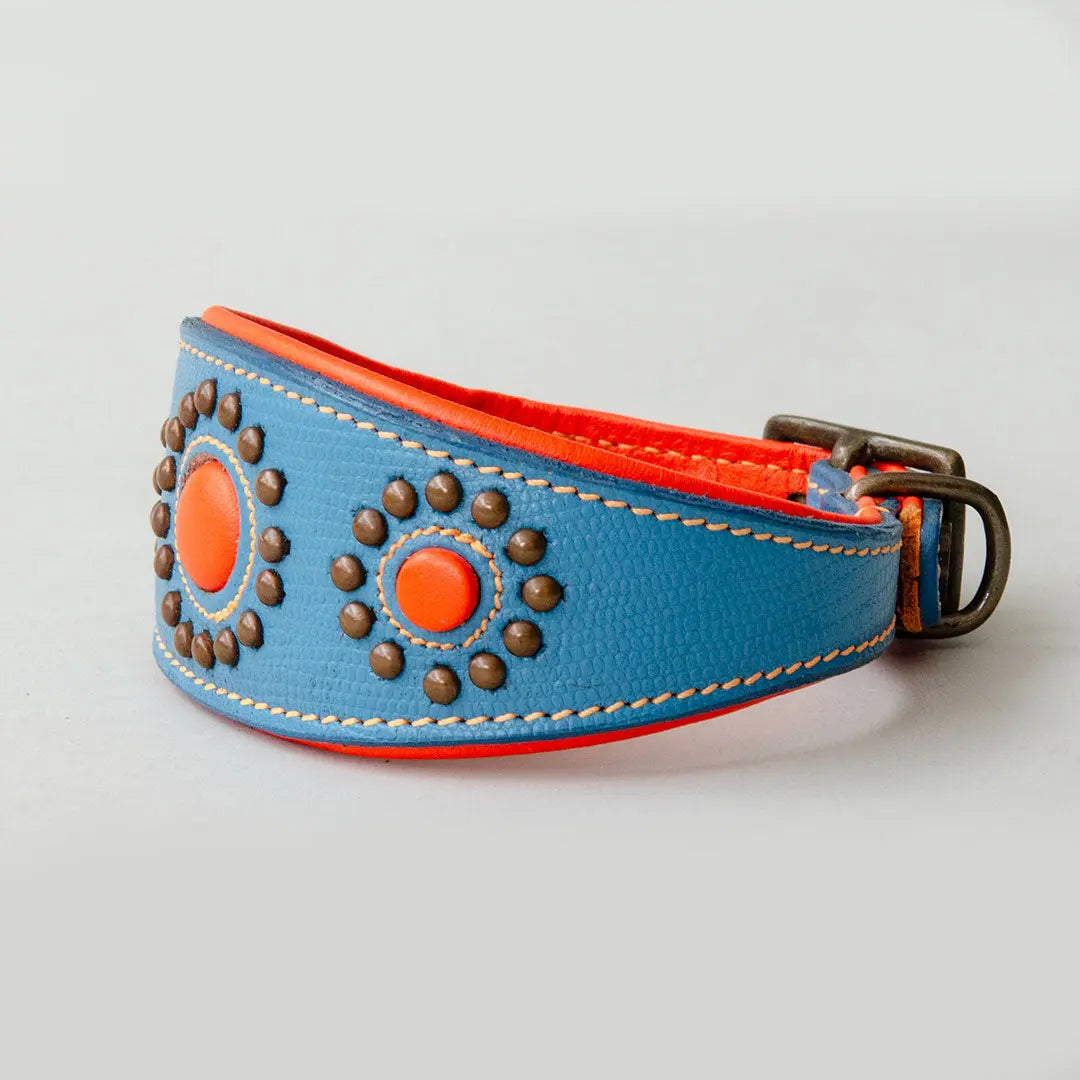 Hundehalsband für Windhunde - "Longnose Yellow Blue Sky" 4legs.de