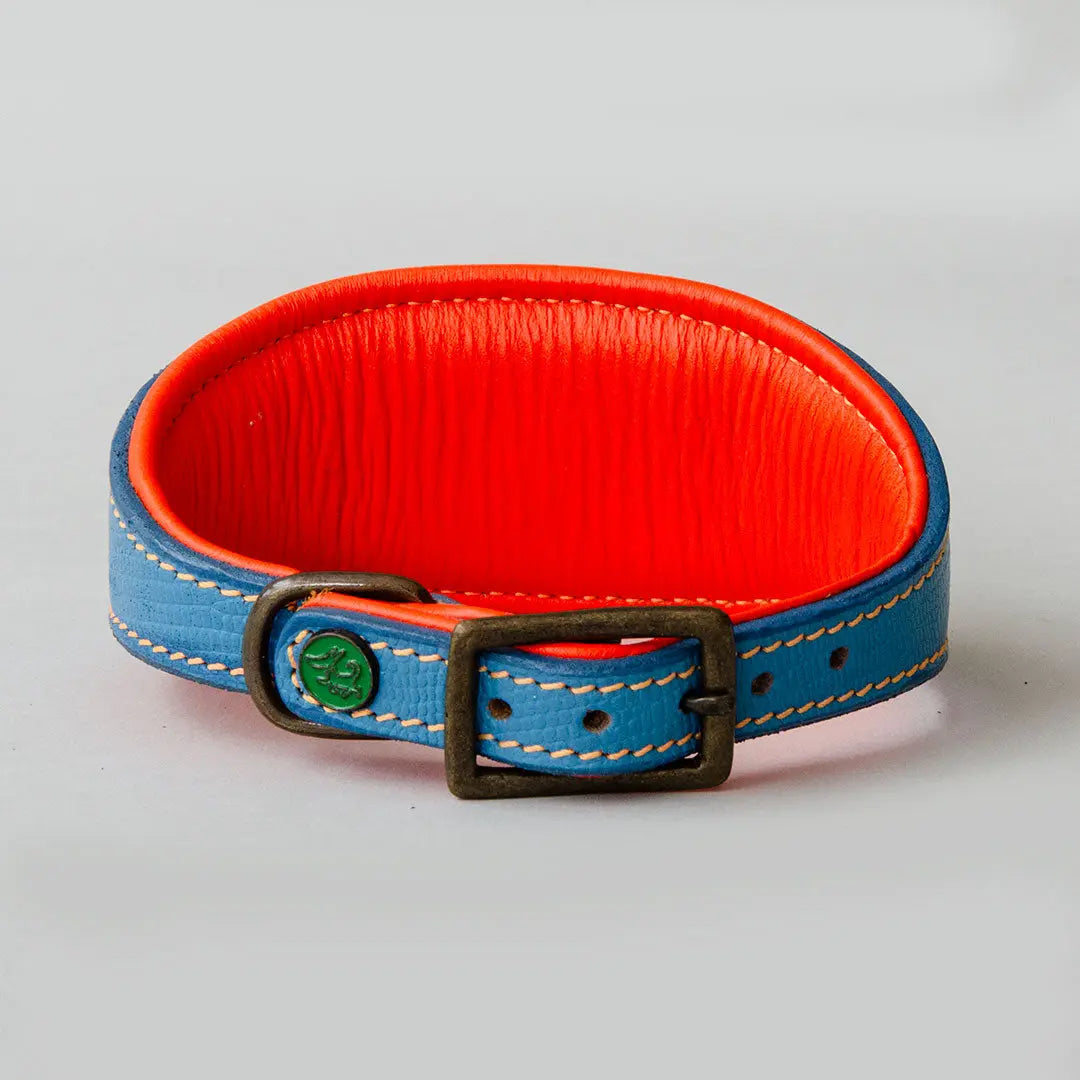 Hundehalsband für Windhunde - "Longnose Yellow Blue Sky" 4legs.de