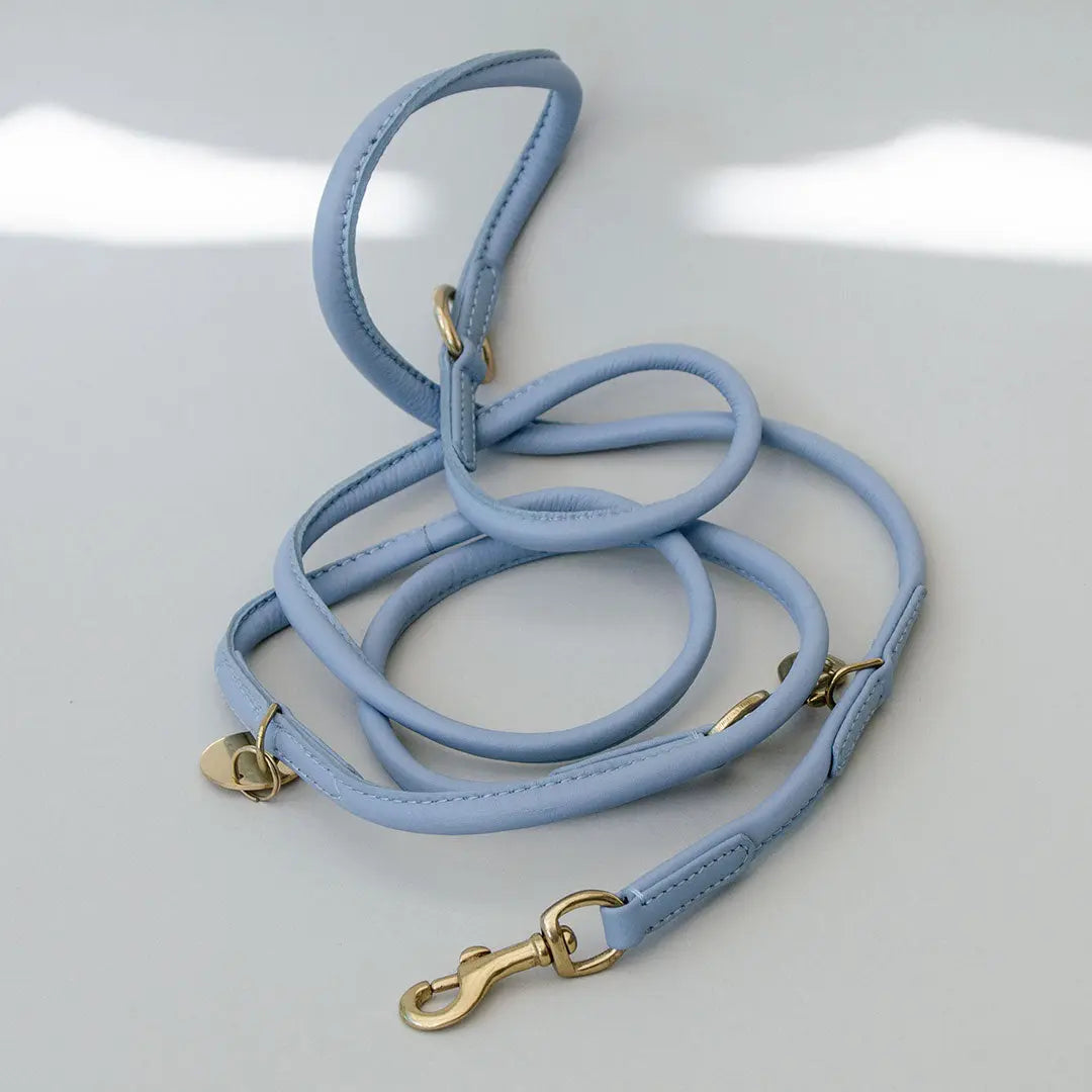 Hundeleine "Rolled Nappa" - blue 4legs.de