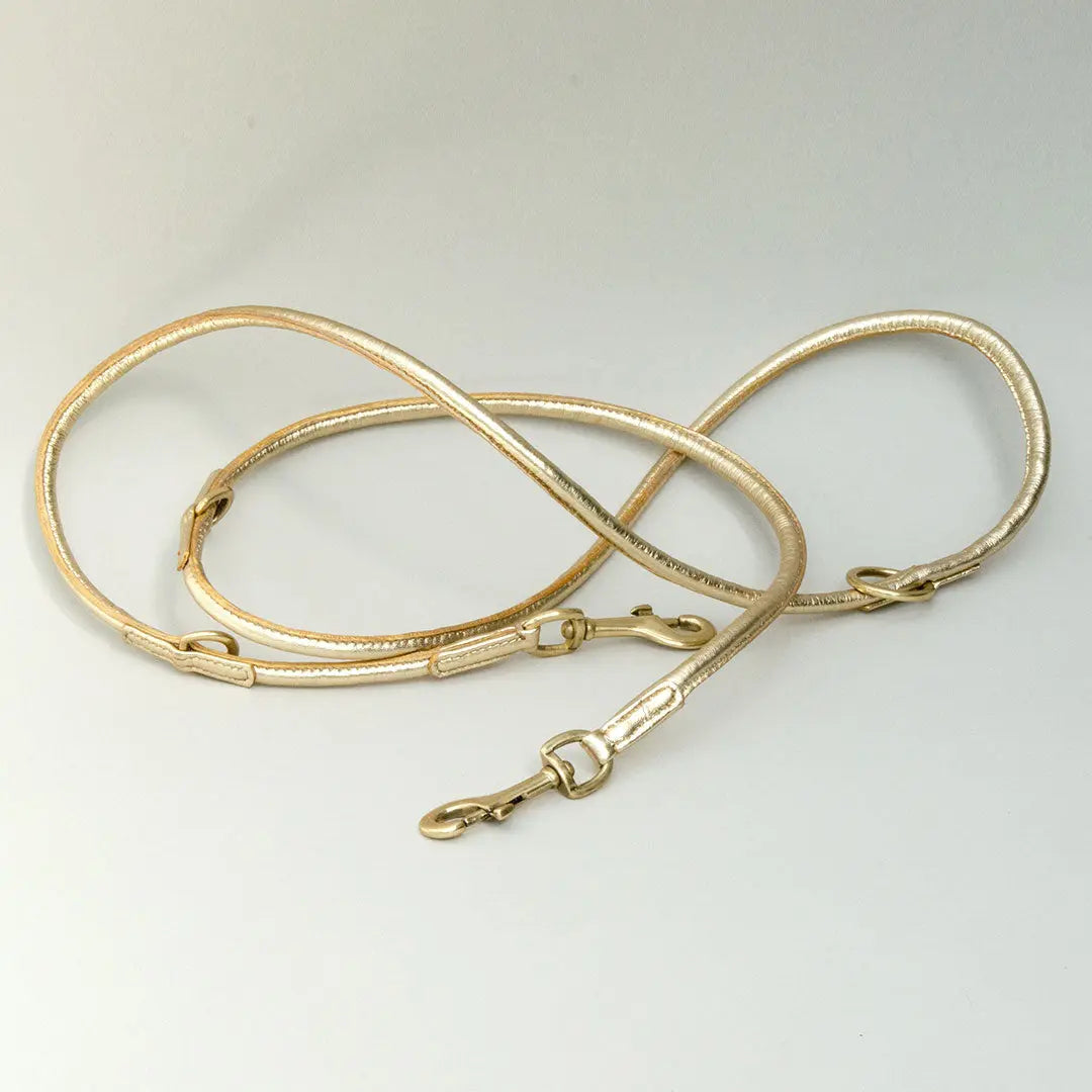 Hundeleine aus Leder "Golden Glam" 4legs.de