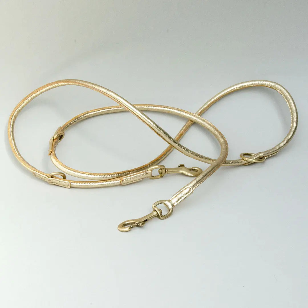 Hundeleine aus Leder "Golden Glam" 4legs.de