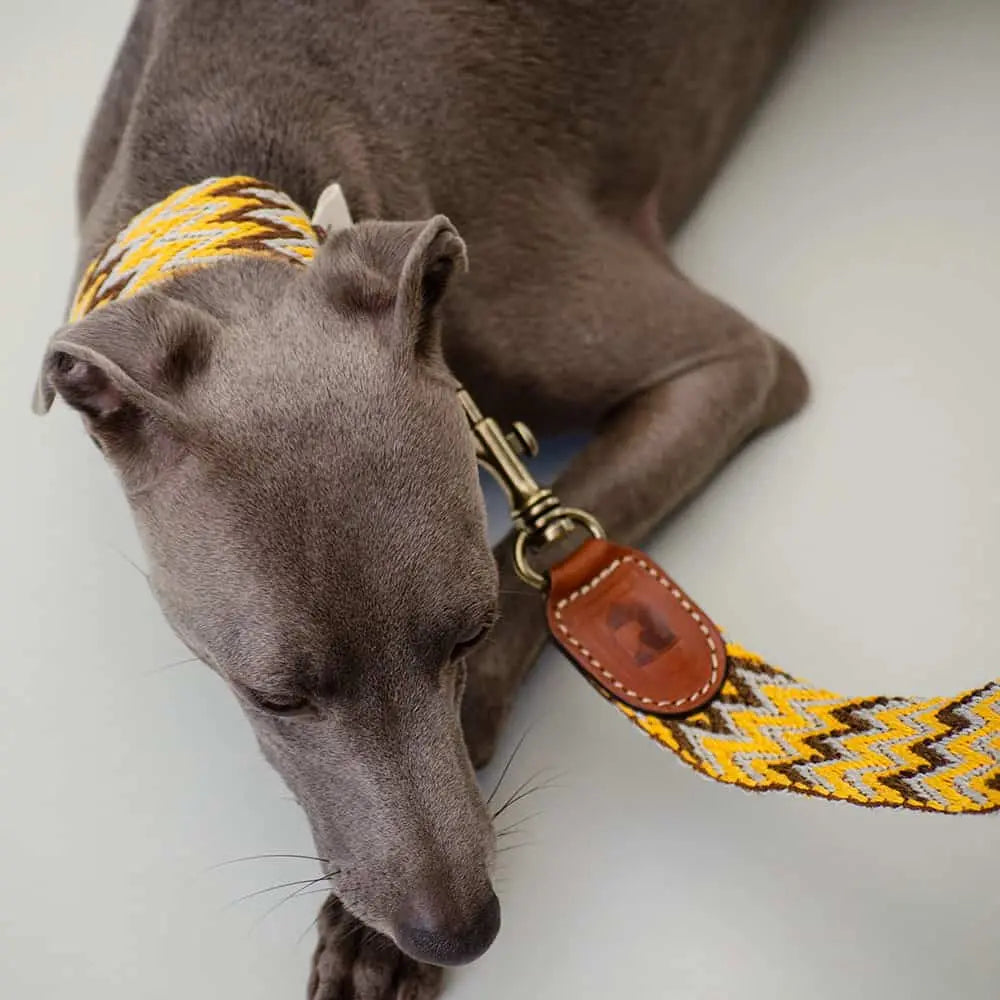 Hundehalsband im Boho-Stil
