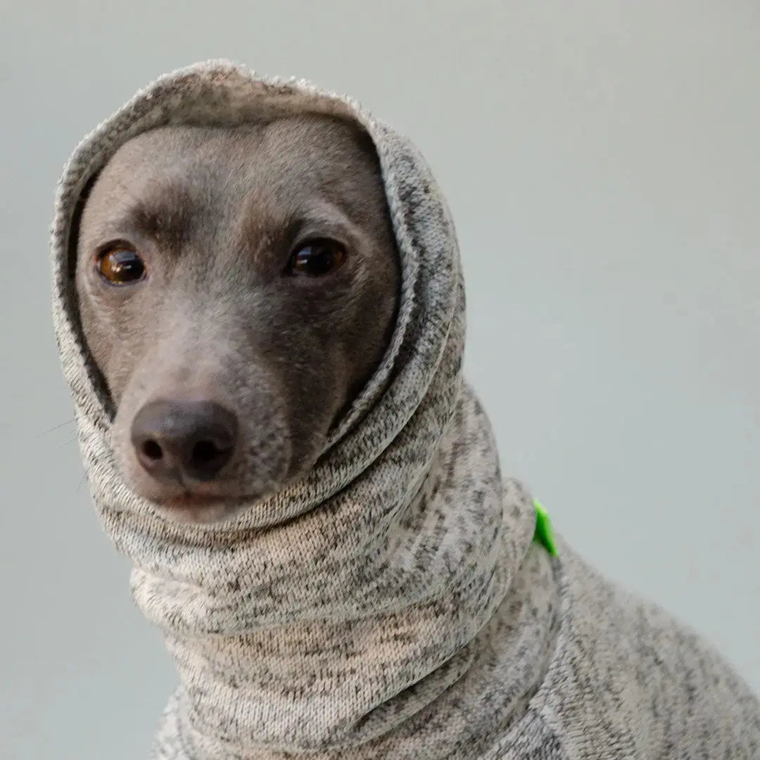 Hundepulli "Long Neck" 4legs.de