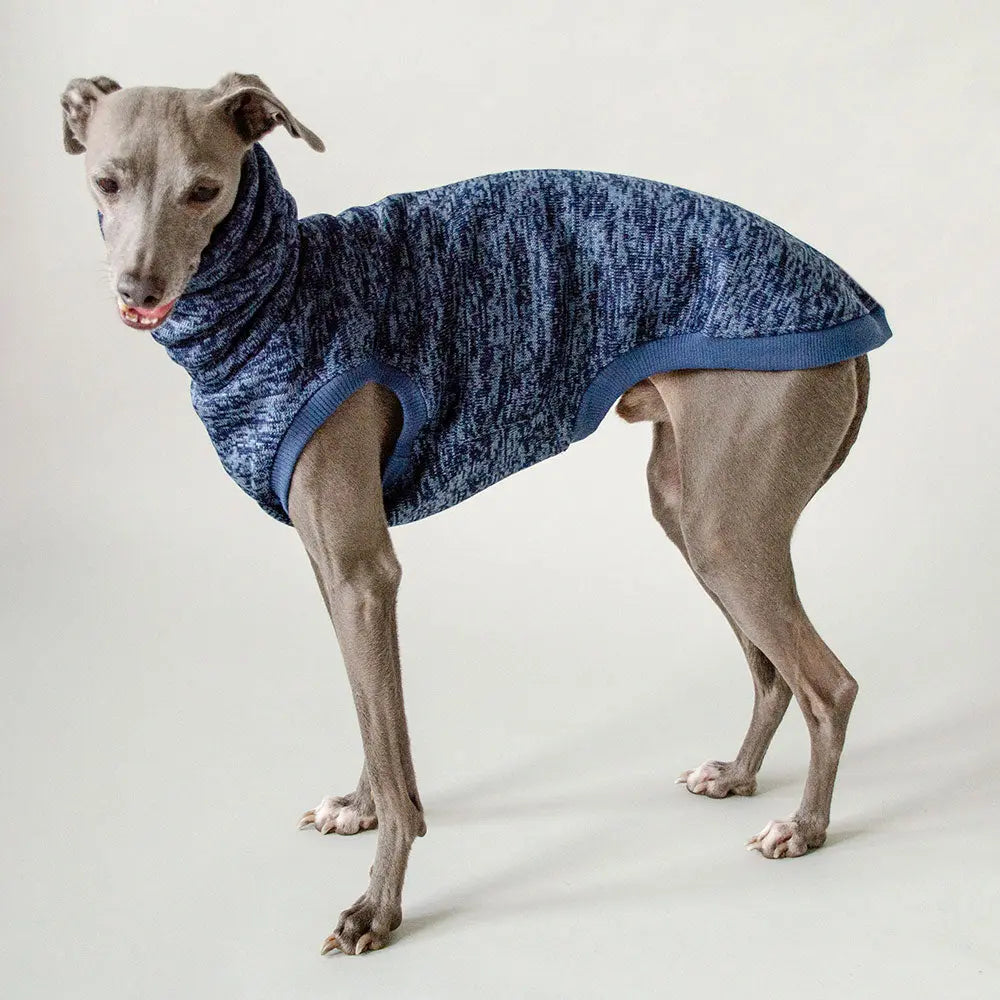 Hundepulli für Windhunde "Speed" - jeansblau 4legs.de