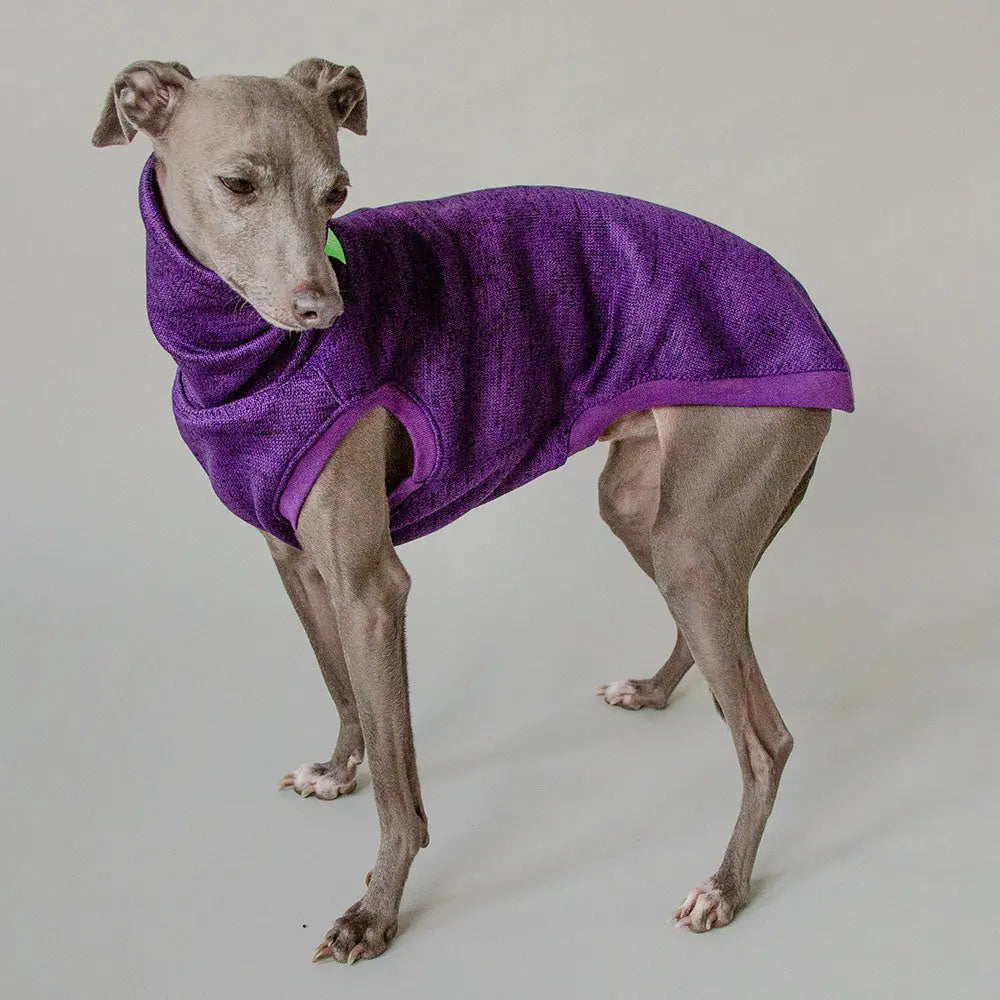 Hundepullover für Windhunde "Speed" - purple 4legs.de